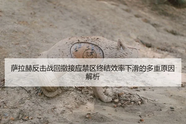 萨拉赫反击战回撤接应禁区终结效率下滑的多重原因解析